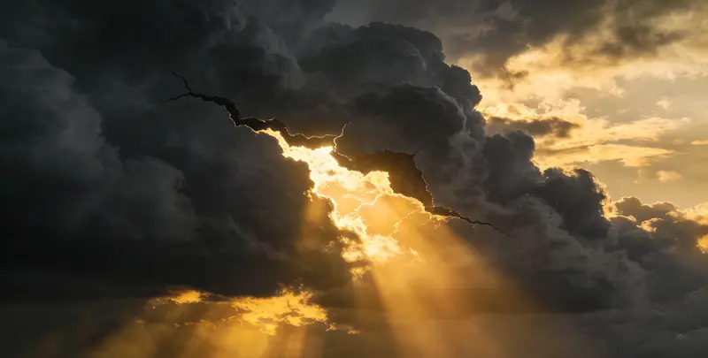 沈阳肺癌12基因ctDNA突变检测(血液）图片1