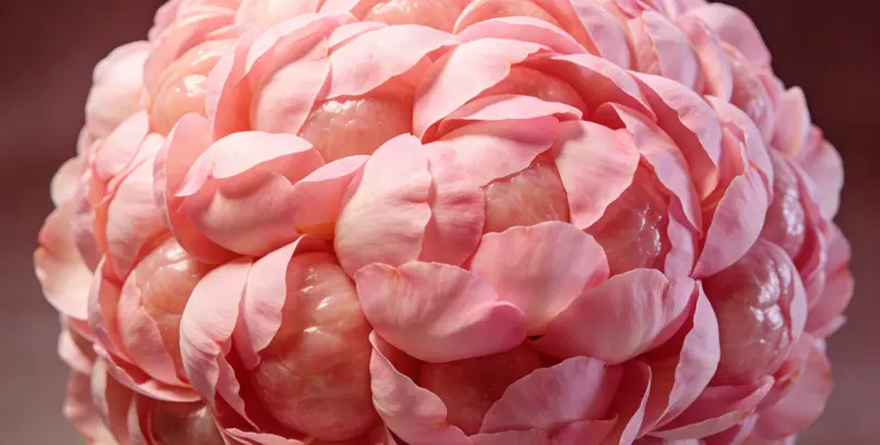 沈阳BRCA1/2乳腺癌卵巢癌基因检测图片1