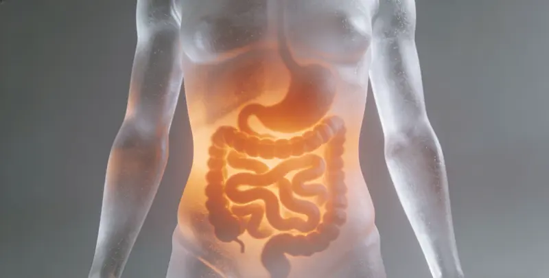 沈阳胃癌分子分型基因检测项目（组织）图片1